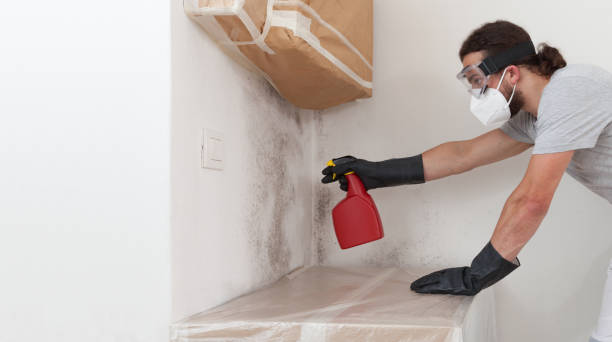 Professional Crawl Space Mold Removal technician working in Grassflat, PA